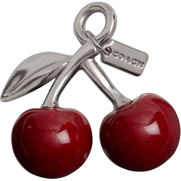 Amazon.com: COACH Women's Vintage Charms Cherry Stud Earrings